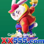 XX555 Game