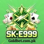SK-E999 Game